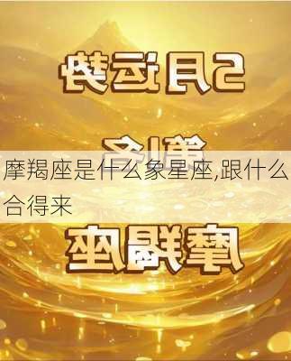 摩羯座是什么象星座,跟什么合得来