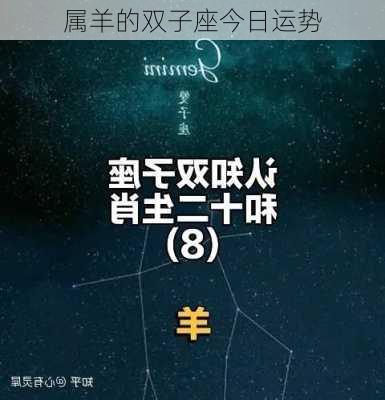 属羊的双子座今日运势-第2张图片-滋味星座网