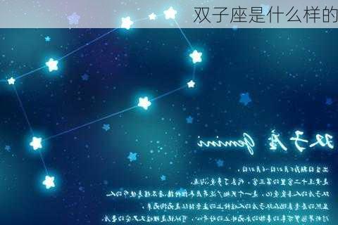 双子座是什么样的-第2张图片-滋味星座网