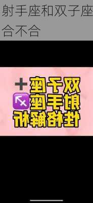 射手座和双子座合不合-第1张图片-滋味星座网