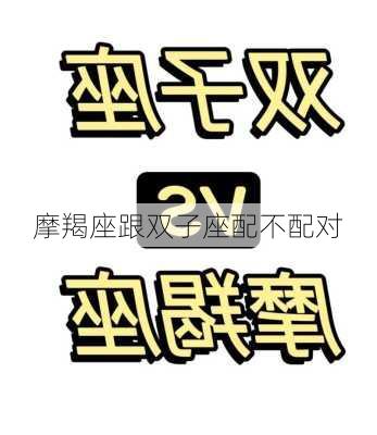 摩羯座跟双子座配不配对-第1张图片-滋味星座网