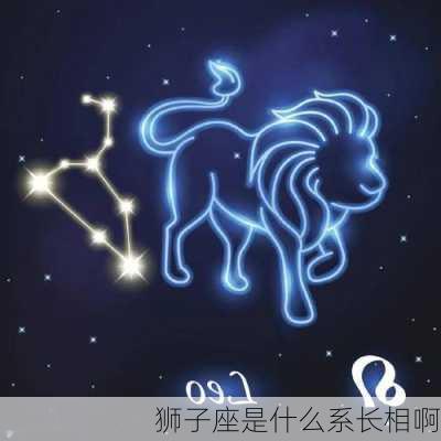 狮子座是什么系长相啊-第3张图片-滋味星座网