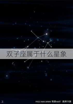 双子座属于什么星象-第2张图片-滋味星座网