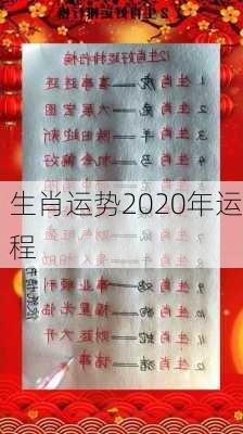 生肖运势2020年运程-第1张图片-滋味星座网