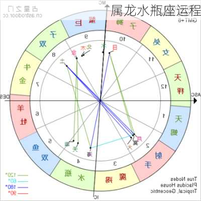 属龙水瓶座运程-第3张图片-滋味星座网