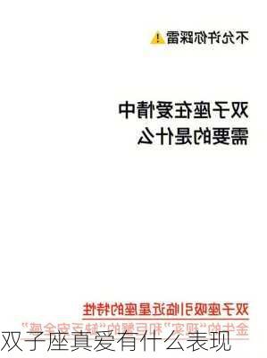 双子座真爱有什么表现-第3张图片-滋味星座网