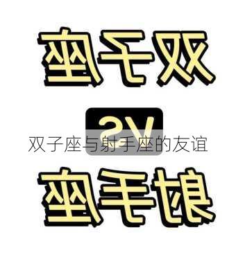 双子座与射手座的友谊-第3张图片-滋味星座网