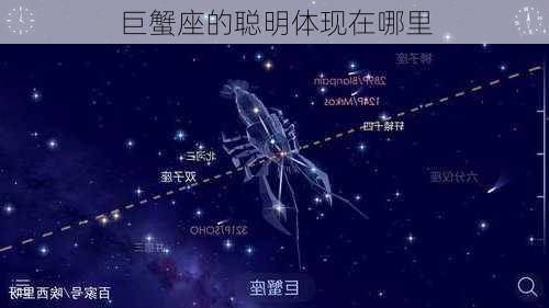 巨蟹座的聪明体现在哪里-第2张图片-滋味星座网