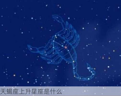 天蝎座上升星座是什么-第1张图片-滋味星座网