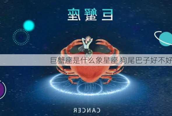 巨蟹座是什么象星座 狗尾巴子好不好-第3张图片-滋味星座网