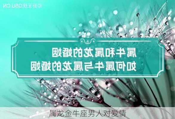 属龙金牛座男人对爱情-第2张图片-滋味星座网