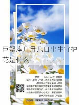 巨蟹座几月几日出生守护花是什么-第3张图片-滋味星座网