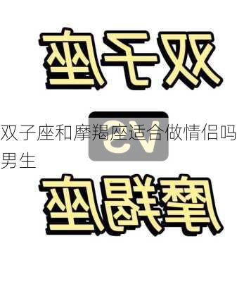 双子座和摩羯座适合做情侣吗男生