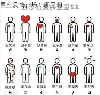 星座爱情官场在哪里啊-第1张图片-滋味星座网