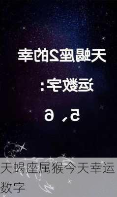 天蝎座属猴今天幸运数字