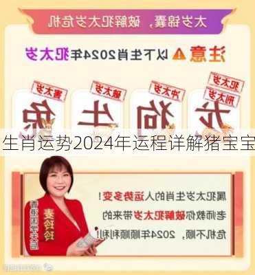 生肖运势2024年运程详解猪宝宝-第2张图片-滋味星座网