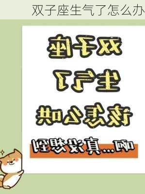 双子座生气了怎么办-第1张图片-滋味星座网