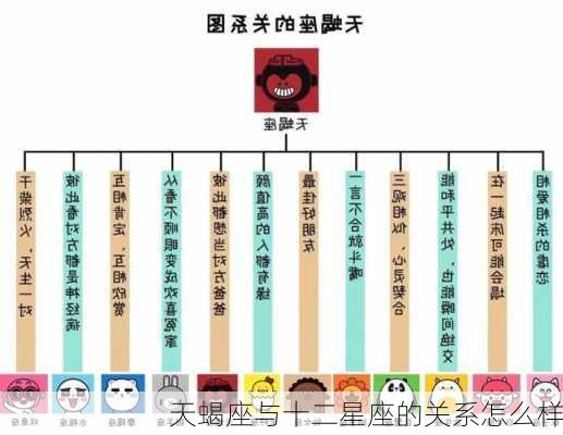 天蝎座与十二星座的关系怎么样-第2张图片-滋味星座网