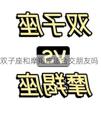 双子座和摩羯座适合交朋友吗-第2张图片-滋味星座网