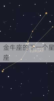 金牛座的下一个星座