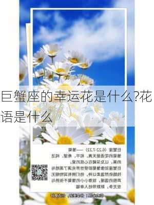 巨蟹座的幸运花是什么?花语是什么-第2张图片-滋味星座网