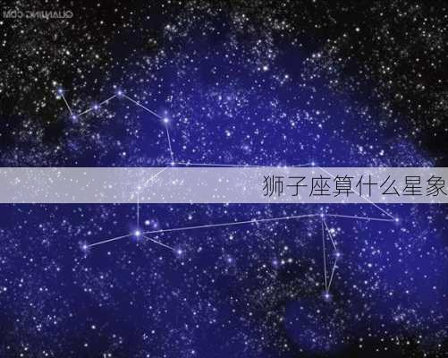 狮子座算什么星象-第3张图片-滋味星座网