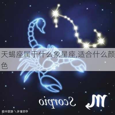 天蝎座属于什么象星座,适合什么颜色