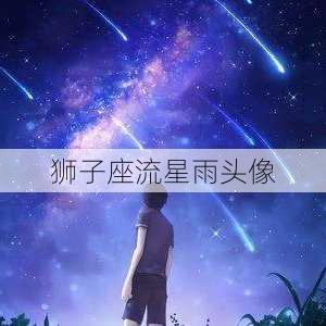 狮子座流星雨头像-第2张图片-滋味星座网