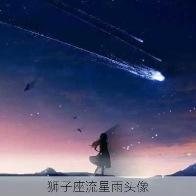 狮子座流星雨头像-第1张图片-滋味星座网