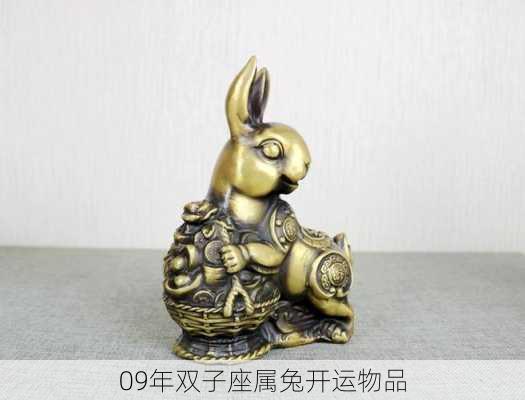 09年双子座属兔开运物品-第3张图片-滋味星座网