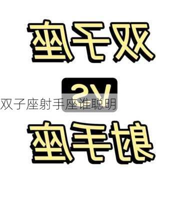 双子座射手座谁聪明-第2张图片-滋味星座网