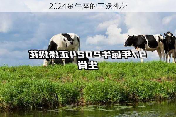 2024金牛座的正缘桃花-第2张图片-滋味星座网