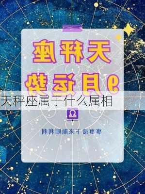 天秤座属于什么属相-第3张图片-滋味星座网