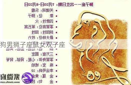 狗男狮子座鼠女双子座-第2张图片-滋味星座网