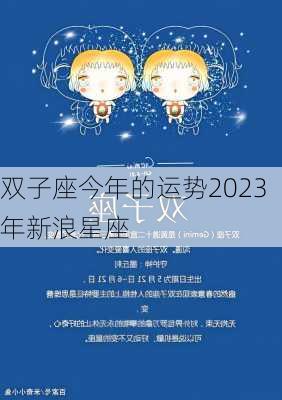 双子座今年的运势2023年新浪星座-第3张图片-滋味星座网