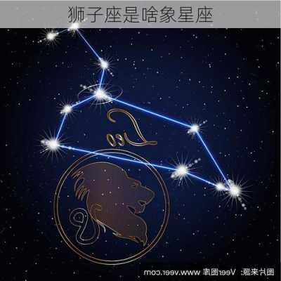 狮子座是啥象星座-第2张图片-滋味星座网