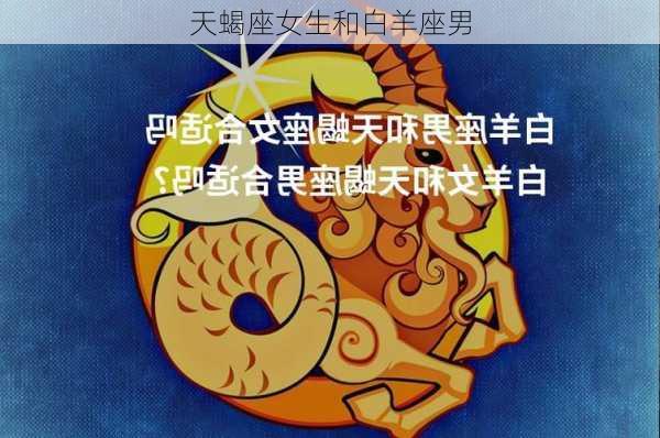 天蝎座女生和白羊座男-第2张图片-滋味星座网