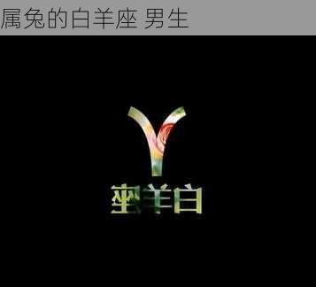 属兔的白羊座 男生-第2张图片-滋味星座网