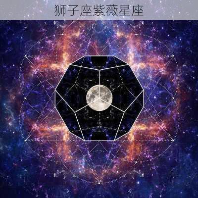 狮子座紫薇星座-第2张图片-滋味星座网