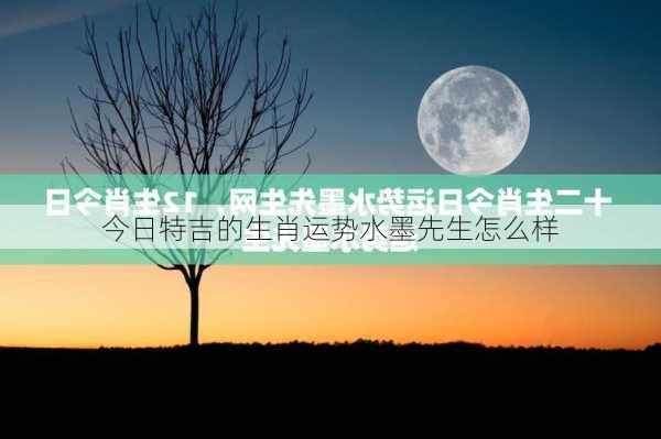 今日特吉的生肖运势水墨先生怎么样-第1张图片-滋味星座网