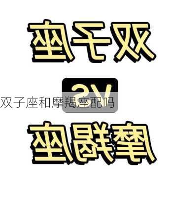 双子座和摩羯座配吗