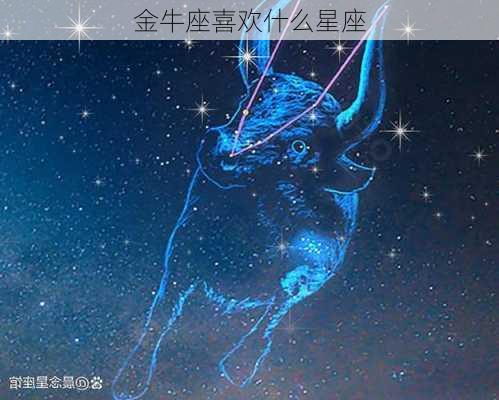 金牛座喜欢什么星座-第3张图片-滋味星座网