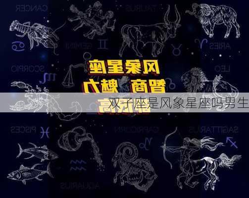 双子座是风象星座吗男生-第1张图片-滋味星座网