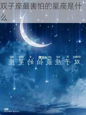 双子座最害怕的星座是什么-第2张图片-滋味星座网