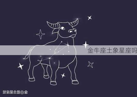 金牛座土象星座吗