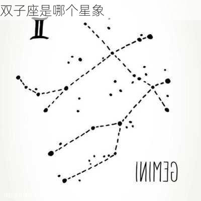 双子座是哪个星象-第3张图片-滋味星座网