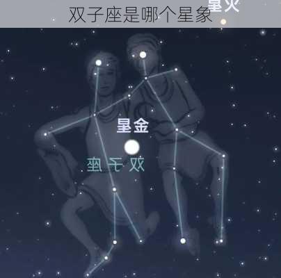 双子座是哪个星象-第1张图片-滋味星座网