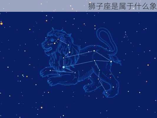 狮子座是属于什么象-第3张图片-滋味星座网