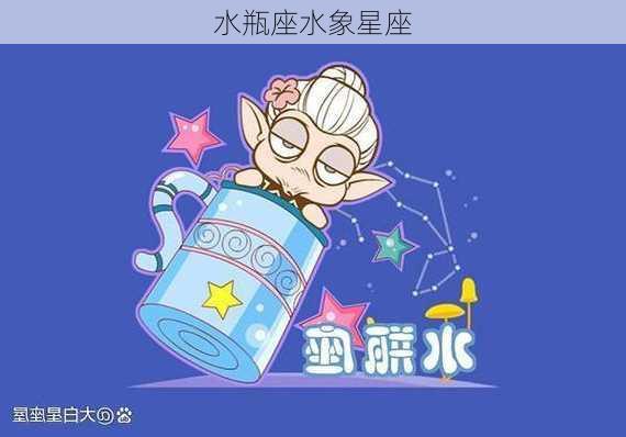 水瓶座水象星座