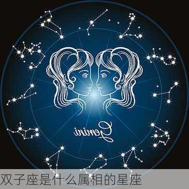 双子座是什么属相的星座-第3张图片-滋味星座网